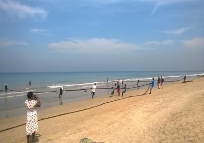 Ranveli Beach Resort - image 5